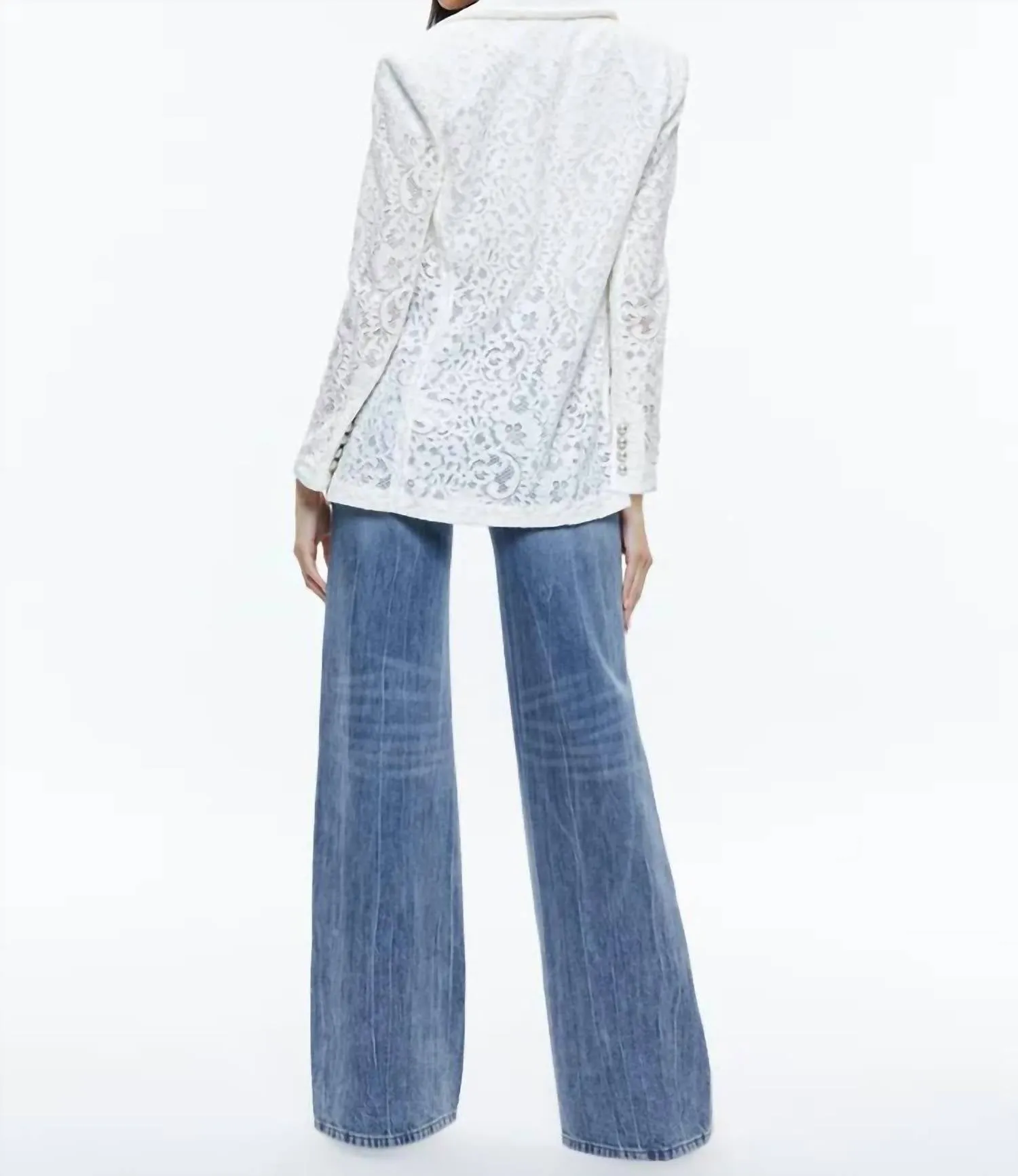 Alice   Olivia - Judith Sheer Lace Notch Collar Blazer